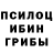 Псилоцибиновые грибы Psilocybine cubensis Spyros Bellos