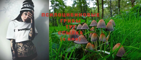 гидра Балабаново